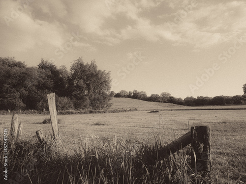 old wooden fence in field black and white