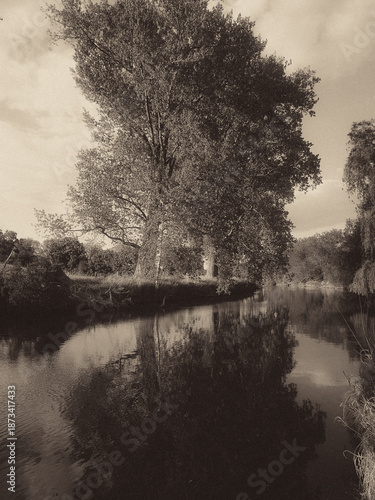morning on the lake black and white 