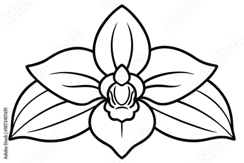 Modern Black and White Orchid Flower Outline Drawing for Elegant Botanical Design