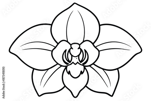 Classic Black and White Orchid Botanical Sketch for Timeless Floral Design