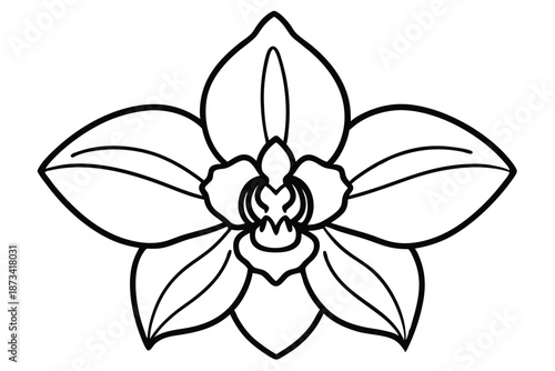 Elegant Black and White Orchid Blossom Outline, Minimalist Vector EPS Graphic