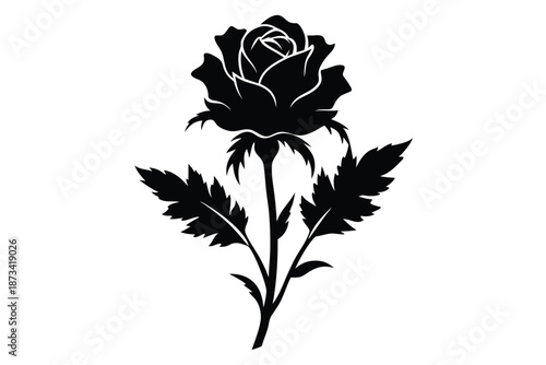 Elegant Moss Rose Silhouette on White, Classic Floral Vector Art