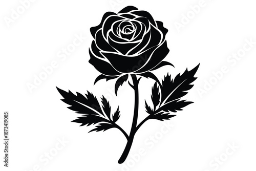 Isolated Moss Rose Silhouette, Simple Botanical Vector for Designs