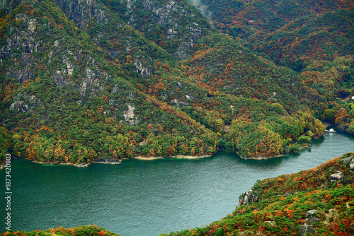 가을 푸른 숲과 고요한 호수