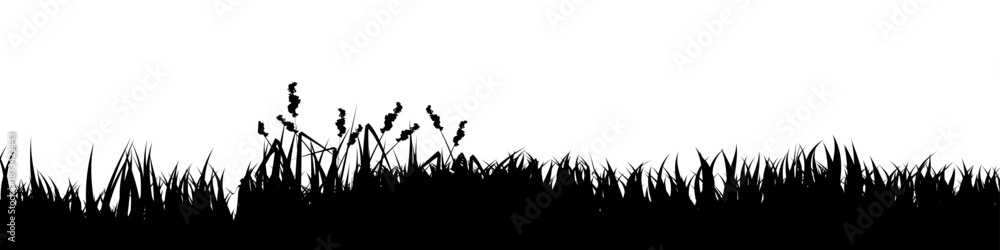 Naklejka premium Meadow silhouette with grass, plants on plain. Panoramic summer lawn landscape with herbs, various weeds. Herbal border, frame element. Black horizontal banners. Vector illustration