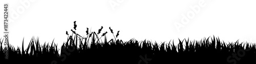 Meadow silhouette with grass, plants on plain. Panoramic summer lawn landscape with herbs, various weeds. Herbal border, frame element. Black horizontal banners. Vector illustration