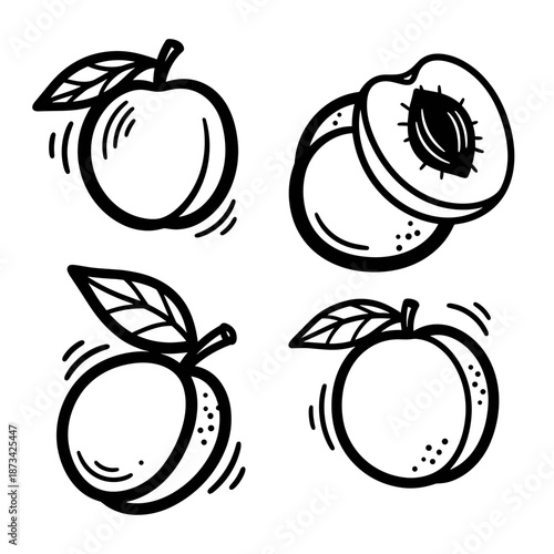 Hand-drawn apricot illustrations with leaf details and slices  