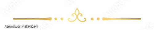 Gold text divider doodle. Wedding decorative element. Divider ornament, border, vintage line separator. Hand drawn vector illustration isolated on a transparent background