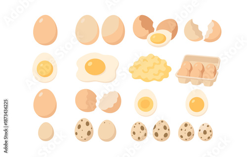 Cartoon egg variety collection: whole, cracked, fried, scrambled, and boiled styles