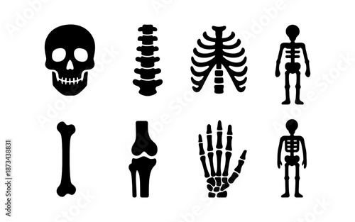 Collection of human skeleton parts and full body silhouettes in black and white