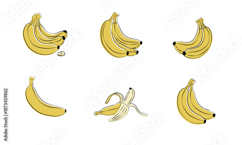 bananas are shown in various stages of ripening