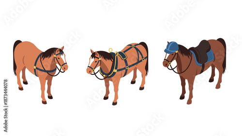 Isometric horses with tack and riding gear in various poses for equestrian themes