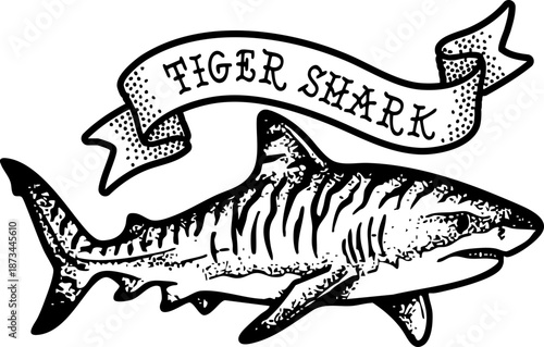 Clean Simple Tiger  Shark Vector Classic American Traditional Shark Flash Design Tattoos, Stipple Dot Shading Sharks SVG. Also see Great White, Tiger Shark, Mako Sharks. Cricut crafts Vinyl cutter