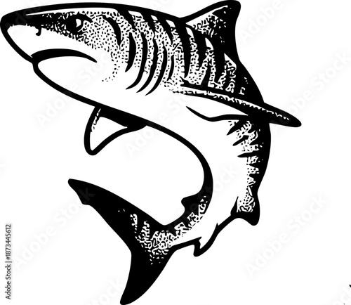 Clean Simple Tiger  Shark Vector Classic American Traditional Shark Flash Design Tattoos, Stipple Dot Shading Sharks SVG. Also see Great White, Tiger Shark, Mako Sharks. Cricut crafts Vinyl cutter