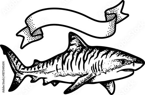 Clean Simple Tiger  Shark Vector Classic American Traditional Shark Flash Design Tattoos, Stipple Dot Shading Sharks SVG. Also see Great White, Tiger Shark, Mako Sharks. Cricut crafts Vinyl cutter