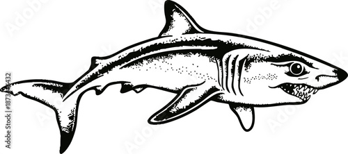 Clean Simple Vector Classic American Traditional Mako Shark Flash Design Tattoos, Stipple Dot Shading Sharks SVG. Also see Great White, Tiger Shark, Mako Shark,s. Great for crafts Vinyl and 