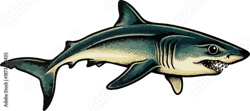 Clean Simple Vector Classic American Traditional Mako Shark Flash Design Tattoos, Stipple Dot Shading Sharks SVG. Also see Great White, Tiger Shark, Mako Shark,s. Great for crafts Vinyl and 