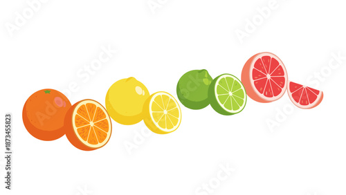 Colorful citrus fruits in a modern flat design