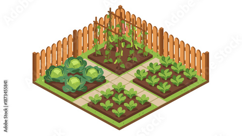 Isometric garden with vegetables and wooden fence in a neat layout