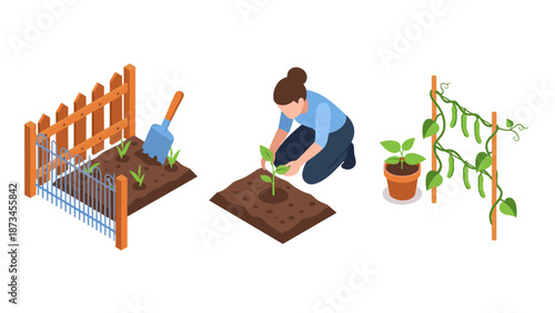 Isometric gardening scene with planting and growing elements