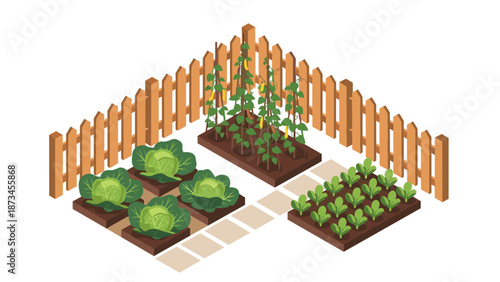 Urban garden with vegetables and wooden fence in isometric design