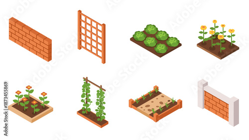 Isometric garden elements: brick walls, trellis, vegetable beds with cabbage and sunflowers