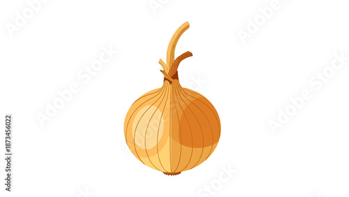 Realistic onion artwork with detailed texture and natural colors