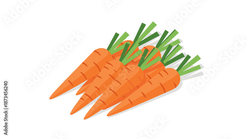 Fresh carrot bunch in modern flat design with green tops