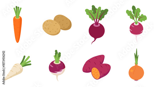 Colorful root vegetables collection featuring carrots, potatoes, and beets