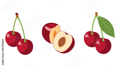 Realistic fruits: fresh cherries and halved plum illustration