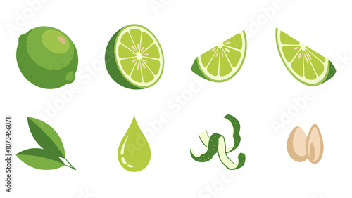 Fresh lime elements with leaves, slices, zest, and seeds on white background