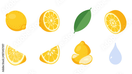 Vibrant citrus elements collection with flat design lemon slices and leaf