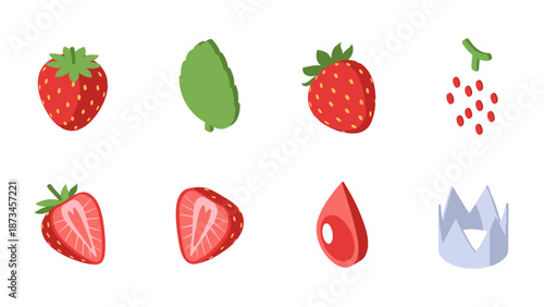 Colorful strawberry elements set with leaves, seeds, and iconic shapes