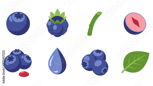Vibrant blueberry and berry icons in modern flat design