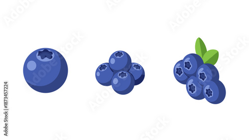 Realistic blueberry set with leaves on white background