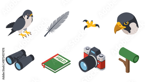 Birdwatching elements: peregrine falcon, equipment icons, binoculars, feather, camera