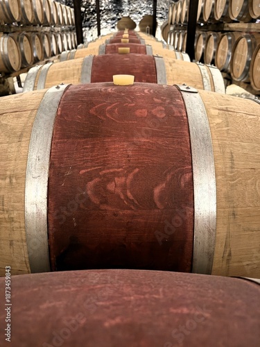 Wine barrels lined in a traditional winery cellar