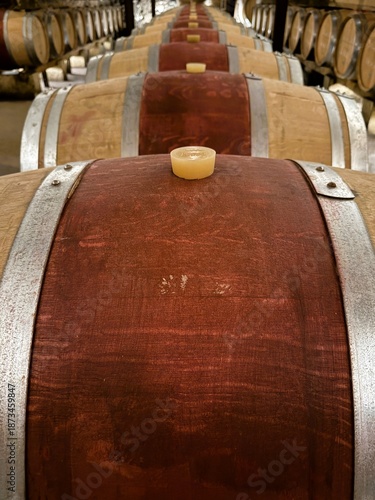 Aging wine in oak barrels inside a winery