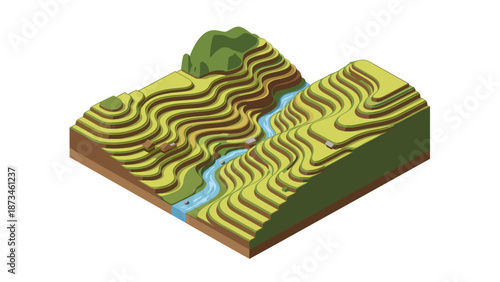 Isometric terrace farming landscape with river in 3d style
