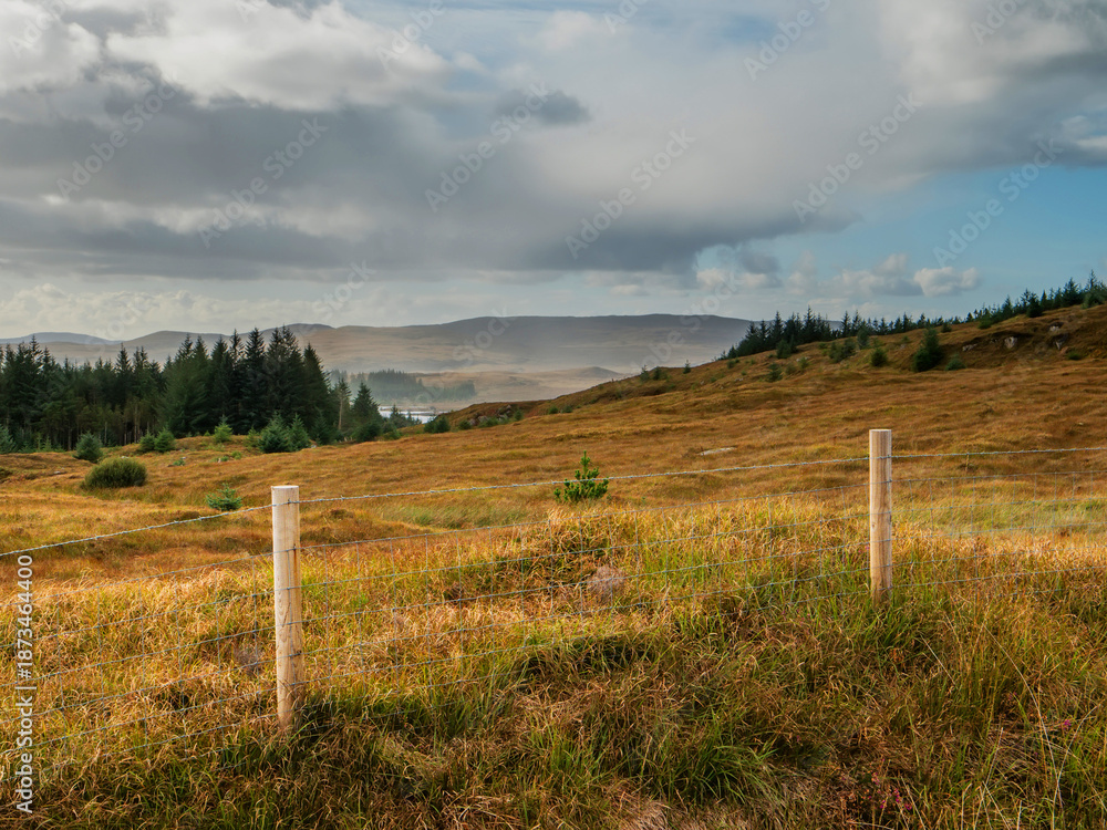 Fototapeta premium Fence in a field with forest, mountains and blue cloudy sky background. Stunning nature scenery in Ireland. Nobody. Travel and tourism. Irish landscape.