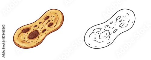 Traditional naan bread flatbread illustration with golden brown toasted spots on white background for culinary and middle eastern food design concept and menu decoration