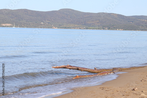 Beautiful scenic view of a wild and empty sandy beach in Albinia, Maremma region, Grosseto province, Tuscany, Italy. Blue sea and Mediterranean coastline under a clear sky.