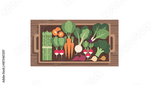 Fresh organic vegetables on wooden tray with rustic style