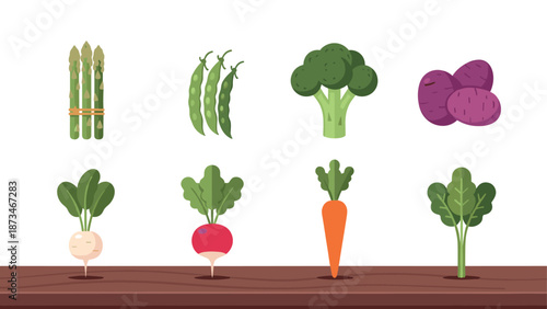 Flat style fresh vegetable icons set including carrots and asparagus