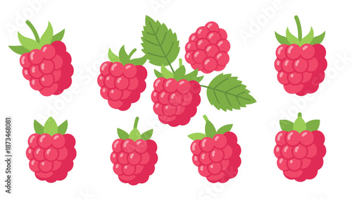 Collection of fresh flat style raspberries with green leaves on white background