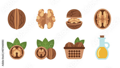 Collection of walnuts and walnut oil icons in flat design style