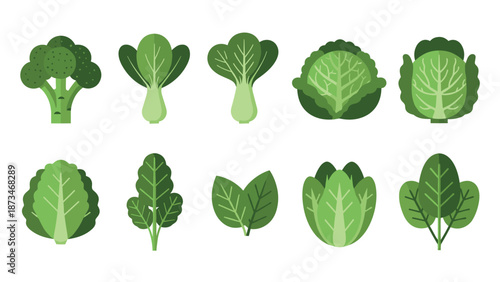 Collection of flat green vegetables featuring various leafy greens with diverse shapes