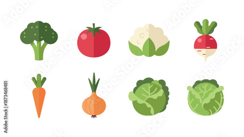 Colorful collection of fresh vegetables in modern flat design style