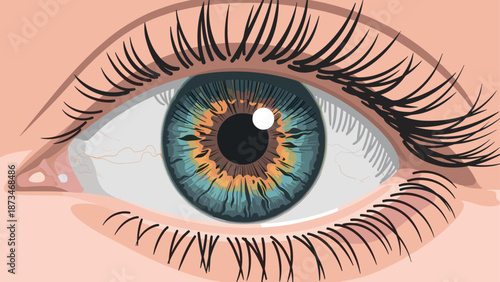 Detailed close-up of a realistic human eye with blue and brown iris