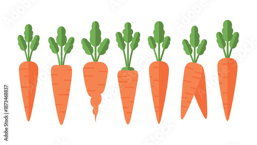 Colorful flat carrots in row with green leaves on white background
